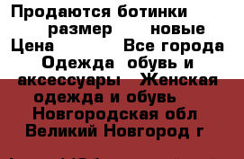 Продаются ботинки Baldinini, размер 37,5 новые › Цена ­ 7 000 - Все города Одежда, обувь и аксессуары » Женская одежда и обувь   . Новгородская обл.,Великий Новгород г.